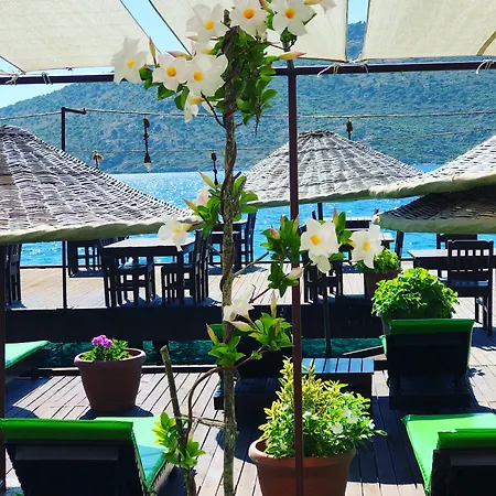 Veranda